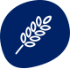 tails.com grains icon