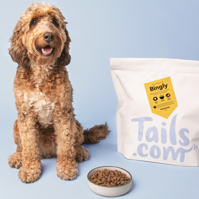 A dog with hypoallergenic Tails.com food