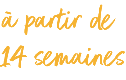 Une image avec le texte "14 semaines et plus".