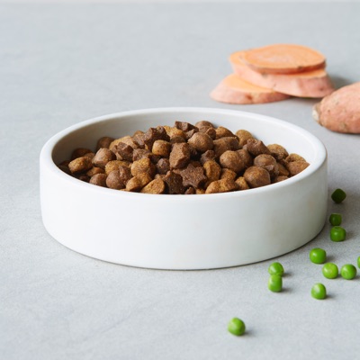 A unique recipe of dog food