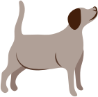 Overweight dogs