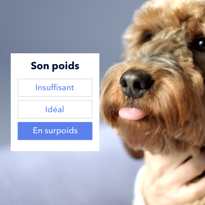 Bingly qui leche ses levres