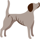 Underweight dogs