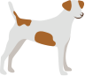 Puppies