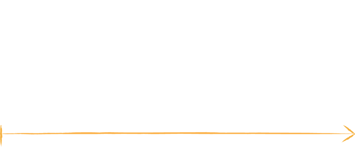 An image showing the three main life stages a dog. 6-14 weeks old, 14 weeks onwards and adulthood.