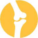 Dog food for joint problems icon