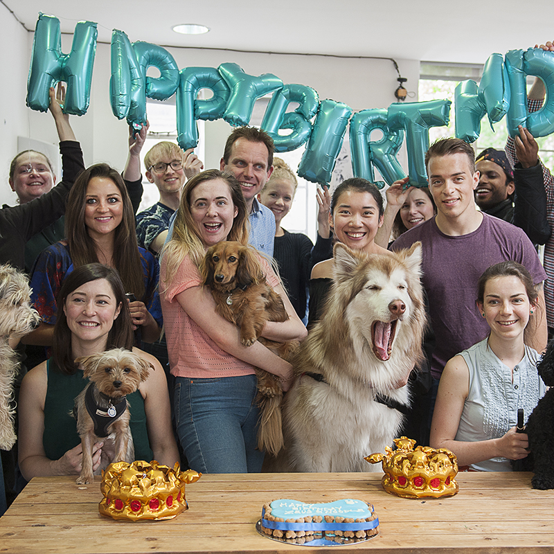 Zeus and Noodles birthday party